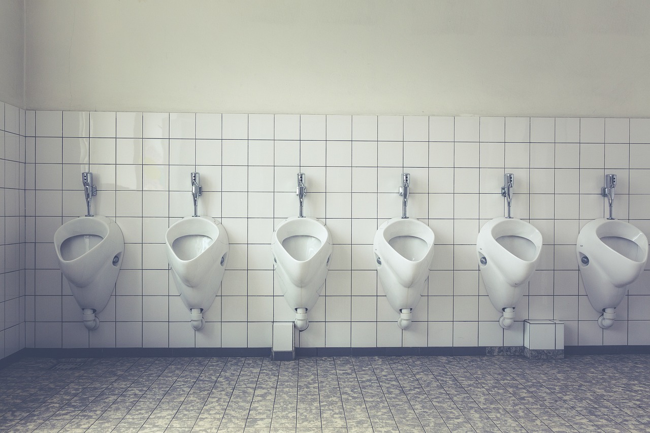 Toilette verstopft Ratgeber: Empfehlung und Kaufratgeber